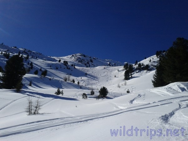 Sci in neve fresca, Alpi